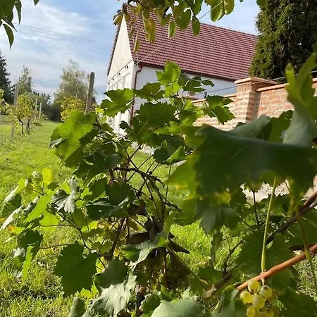 Lantställe Staveni V Zahrade