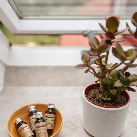 Stavení V Zahradě Venkovský dům