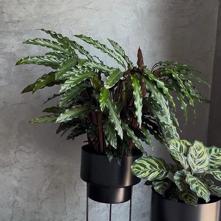 Casa rural Stavení V Zahradě Dolenice